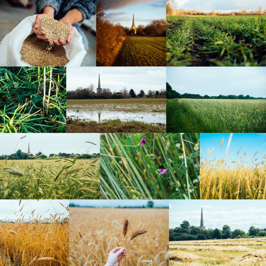 Our Fields Through the Seasons