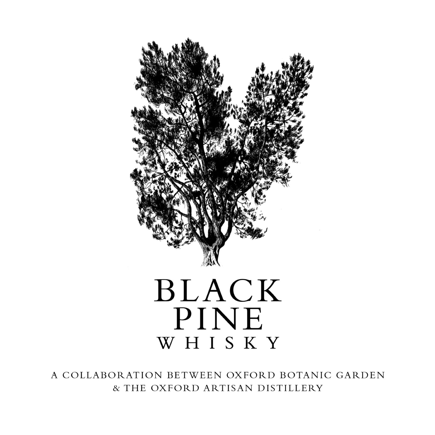 Black Pine Whisky