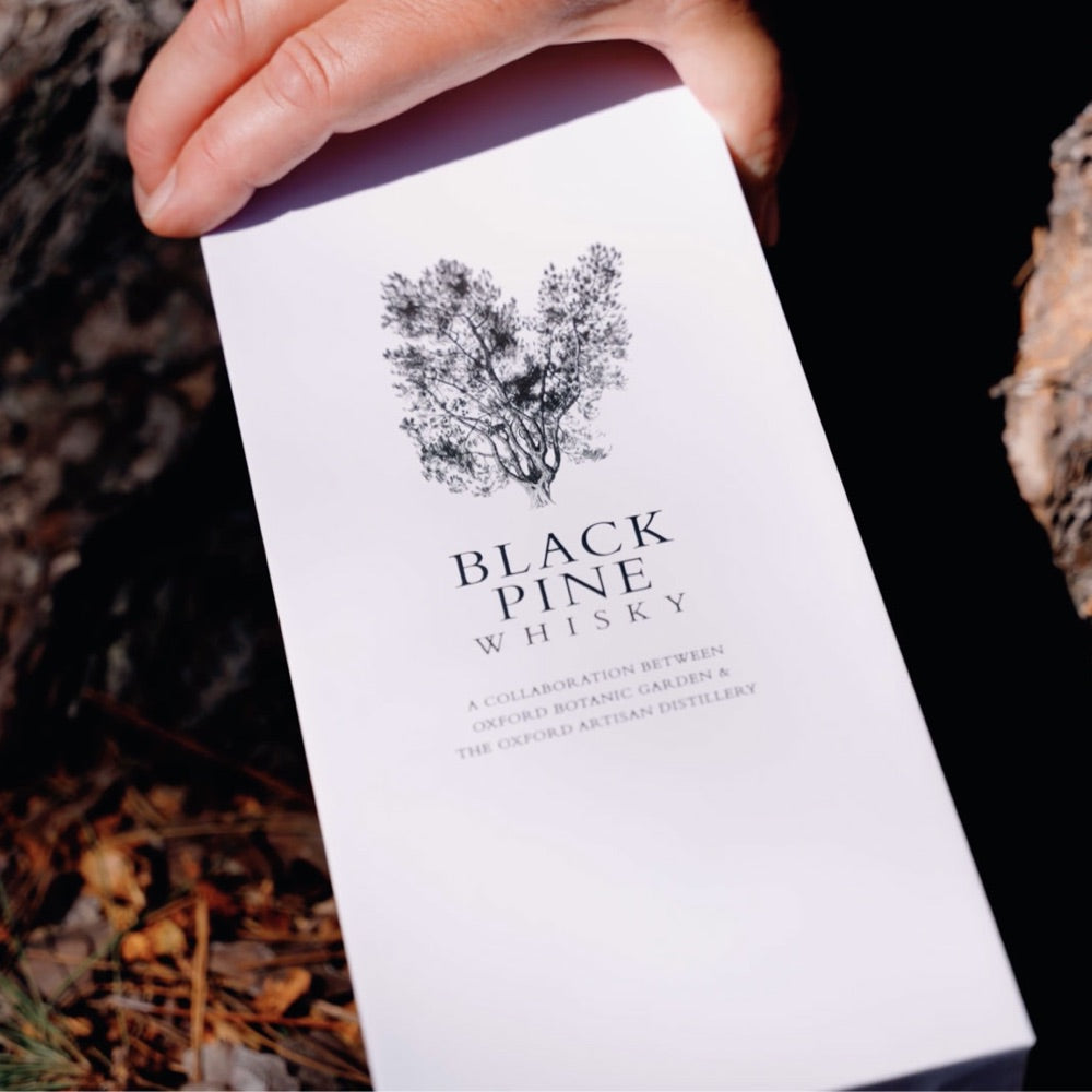 Black Pine Whisky